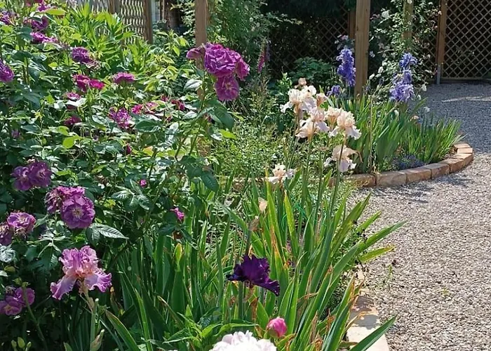 Apartment Heimlicher Grund *